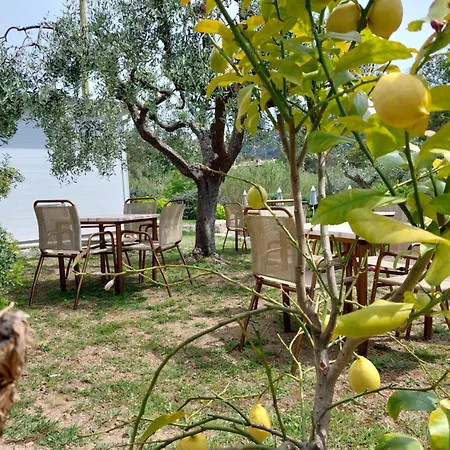 לינה וארוחת בוקר La Casa Degli Ulivi פרוצ'ו