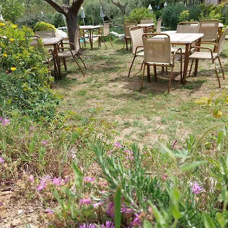 לינה וארוחת בוקר La Casa Degli Ulivi פרוצ'ו